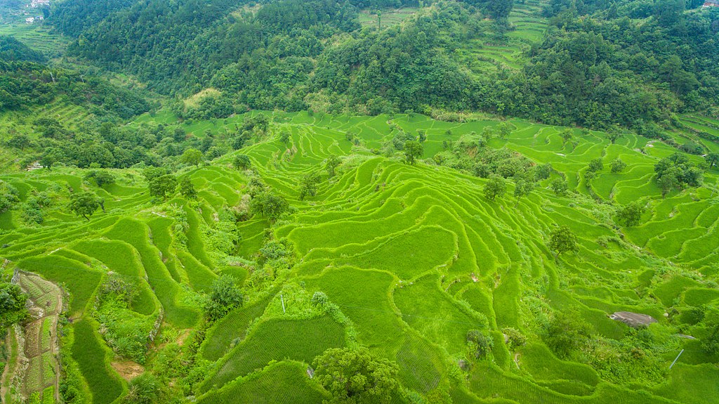 An aerial view of the Huanggang Dabieshan UNESCO Global Geopark in Huanggang, central China's Hubei Province. /VCG