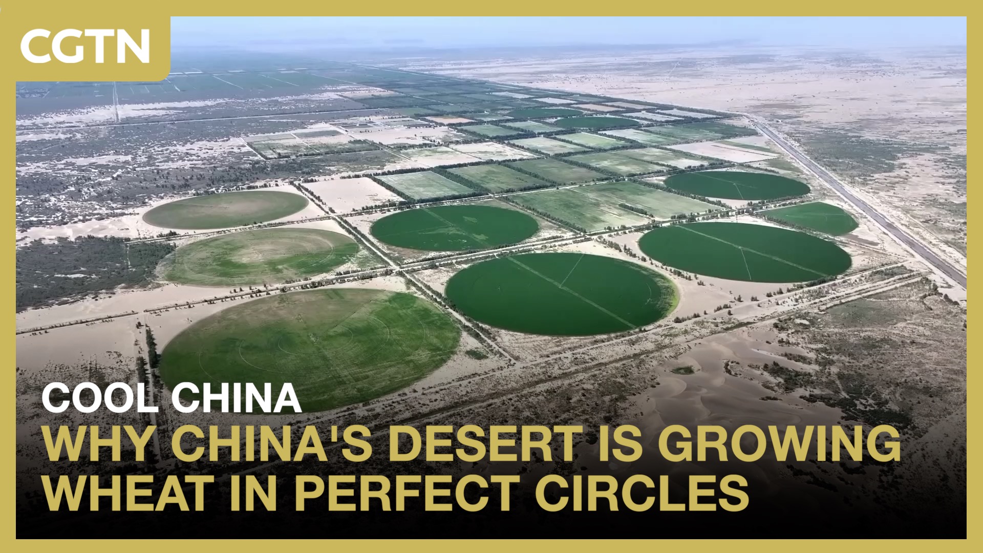 Why China's desert is growing wheat in perfect circles 
