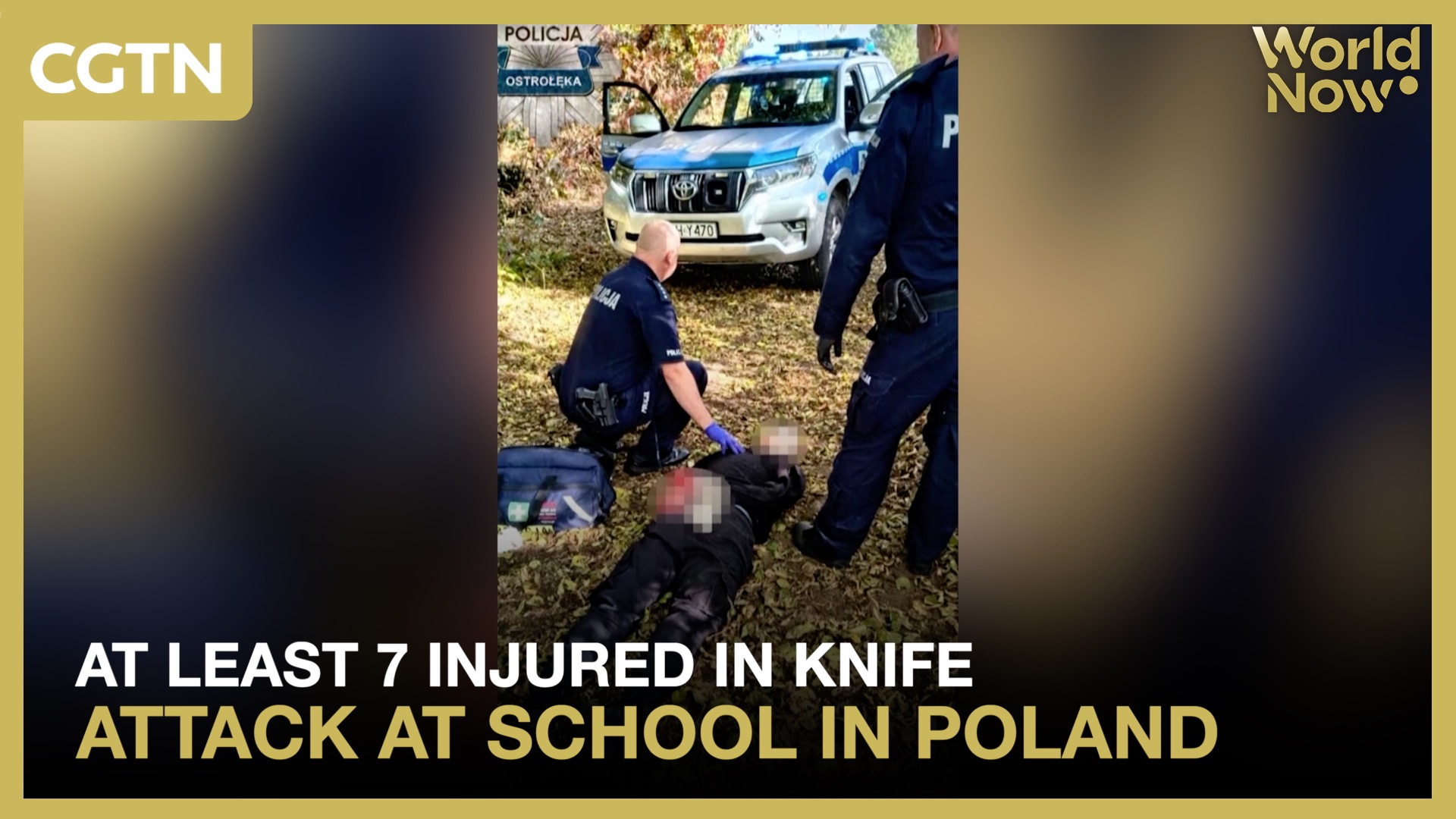 At least 7 injured in knife attack at school in Poland