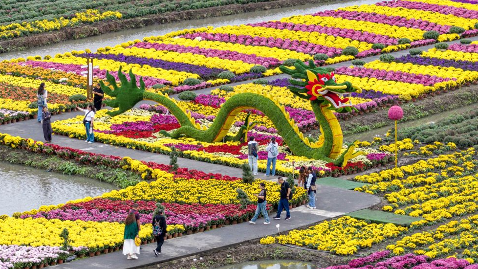 A drone photo shows tourists viewing flowers at a scenic area in Xinghua City, east China's Jiangsu Province, October 1, 2026. /Xinhua