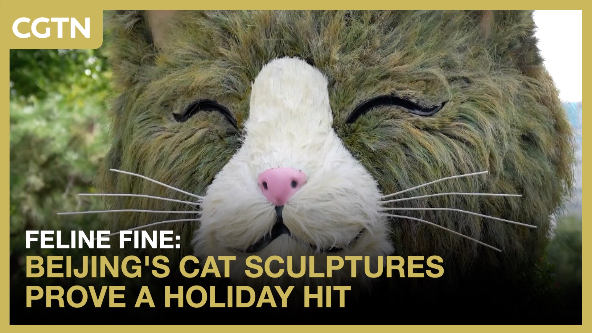 Feline fine: Beijing's cat sculptures prove a holiday hit