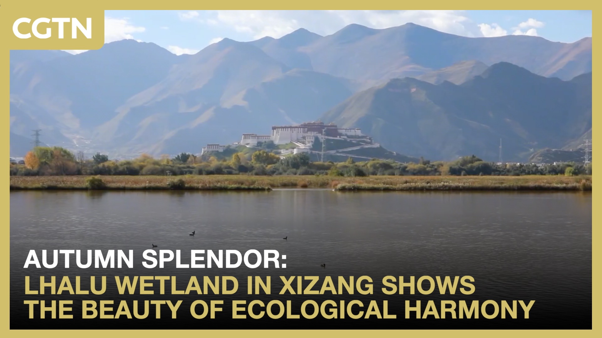 Lhalu Wetland in Xizang shows the beauty of ecological harmony