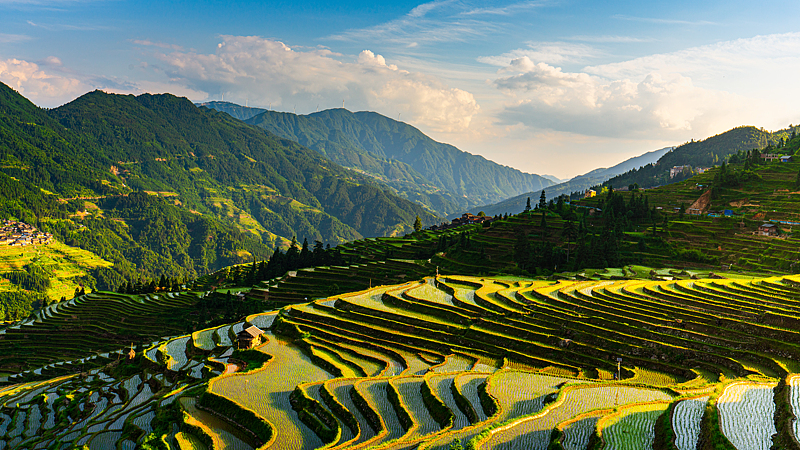 Live: The cloud-veiled terraces of Jiabang in Guizhou