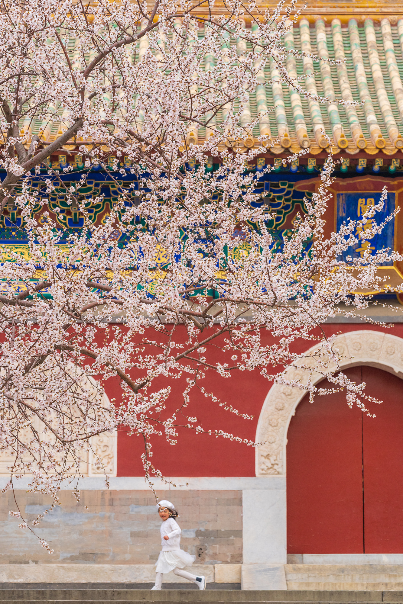 Spring blossoms frame Beihai Park in Beijing, China, March 2023. /CGTN