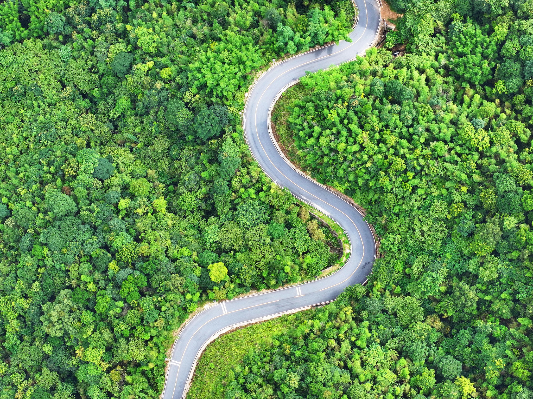 Picturesque rural views of the 218‑km scenic highway, Huizhou, Guangdong Province, July 2, 2026./ VCG