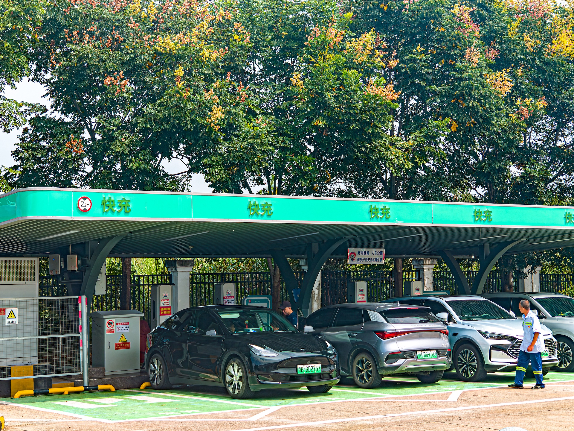 New energy vehicles charge at the Shixing Service Area in Shaoguan, Guangdong Province, south China, October 3, 2026. /VCG