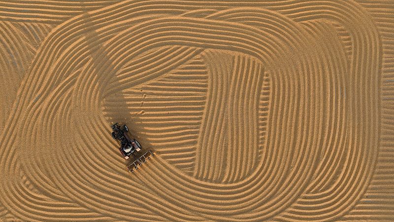 Henan mobilizes machinery and technology for autumn grain harvest