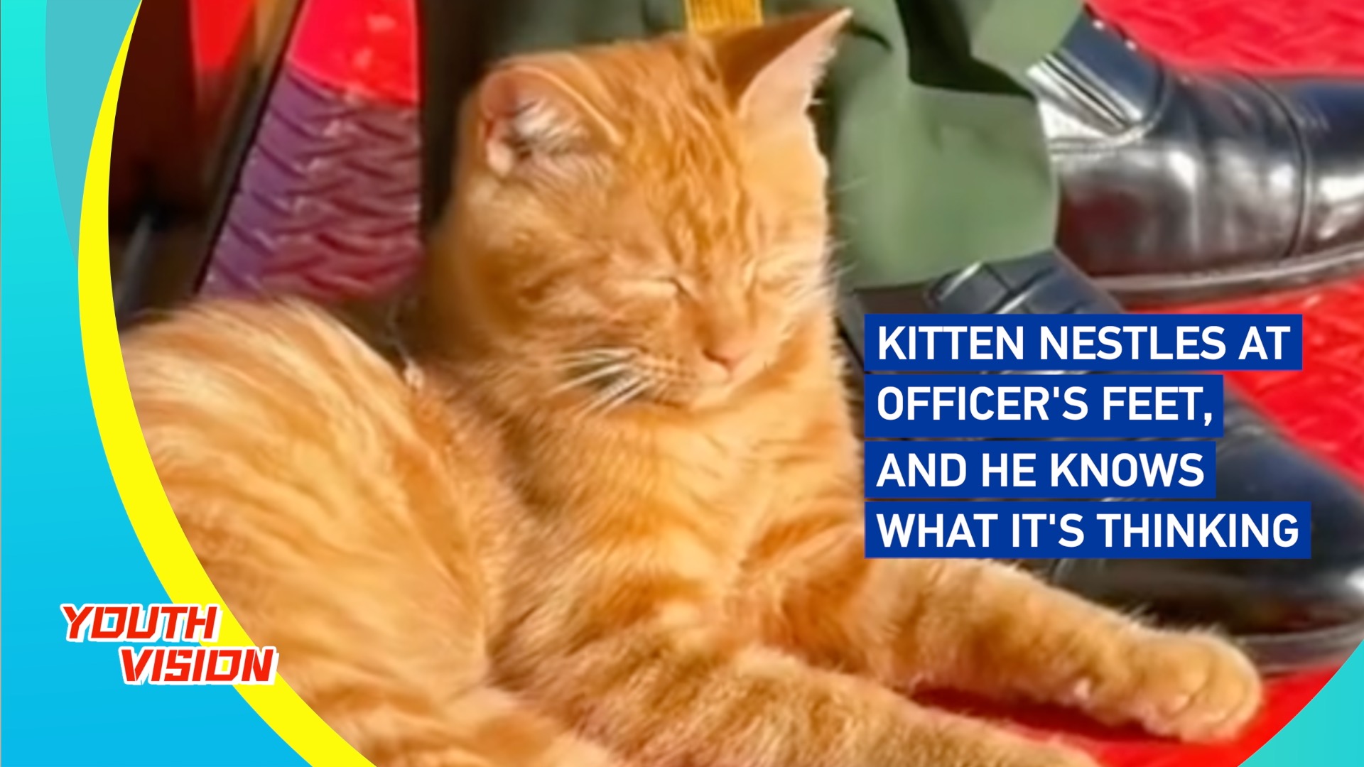 Kitten nestles at officer's feet, and he knows what it's thinking