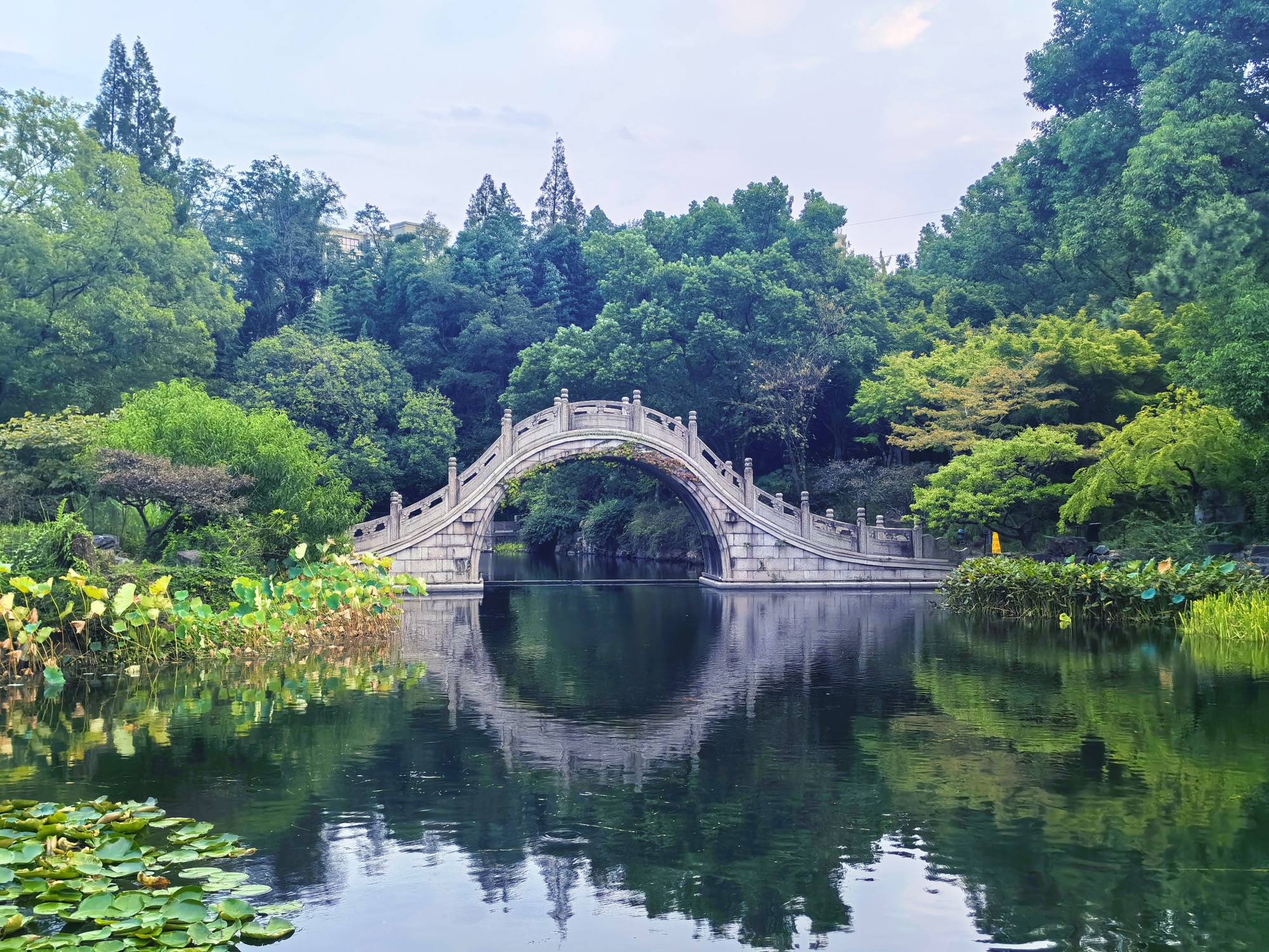 A view of the South Garden is seen in Taicang, east China's Jiangsu Province on October 1, 2026. /CGTN