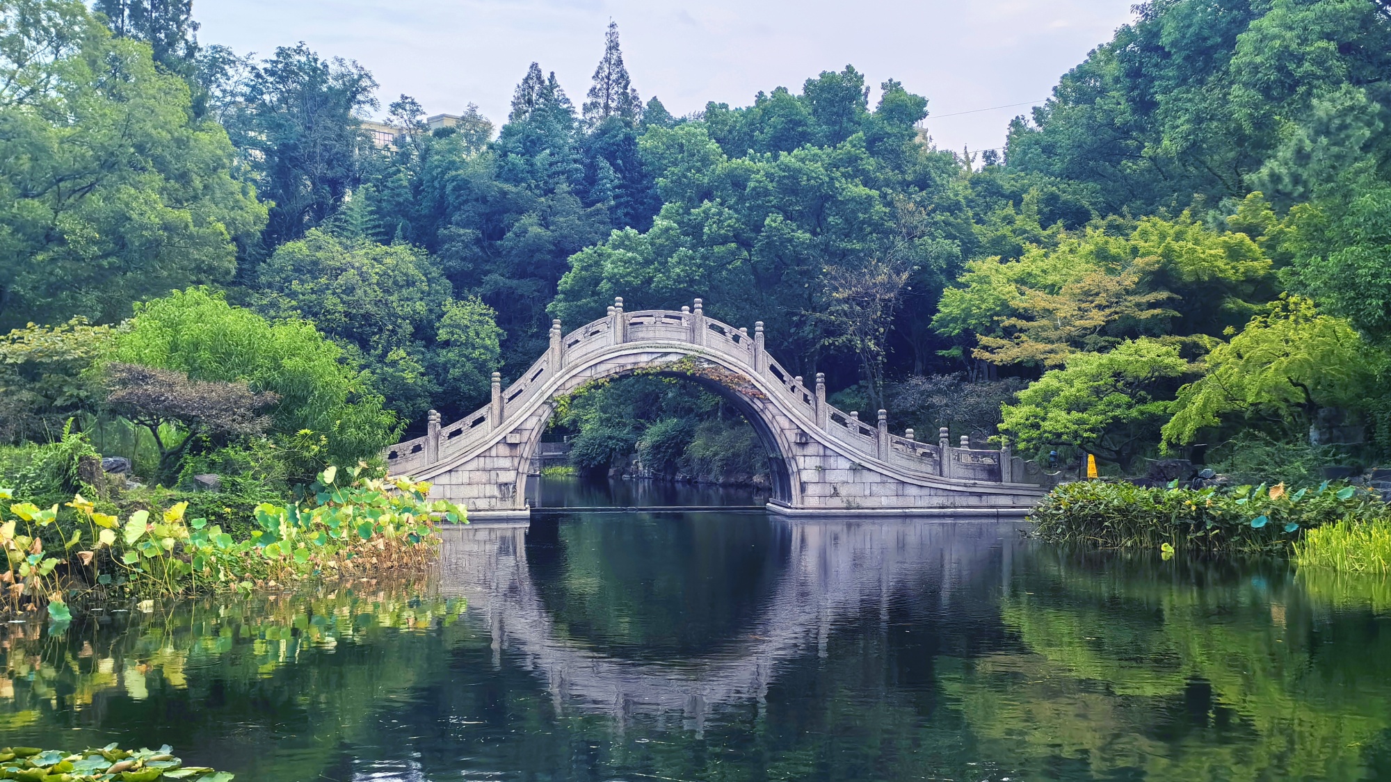 Taicang South Garden: Private garden of a Ming Dynasty chief minister