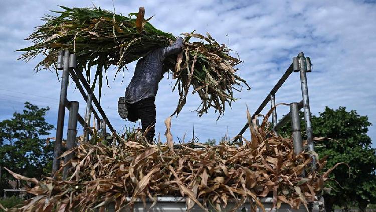 WMO says El Niño is strengthening and expected to peak in December