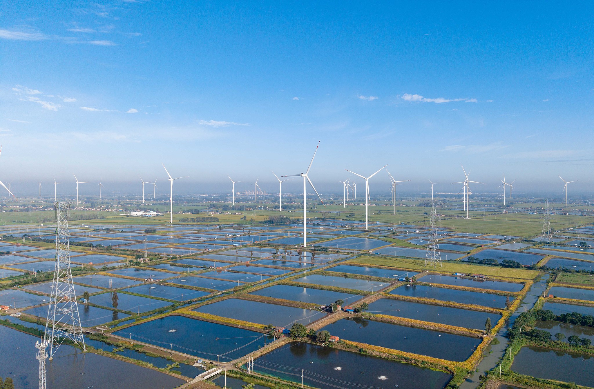 A view of wind turbines rotating over a 400-hectare fish pond aquaculture zone in Gaoyouhu Village, east China's Jiangsu Province, October 4, 2026. /VCG