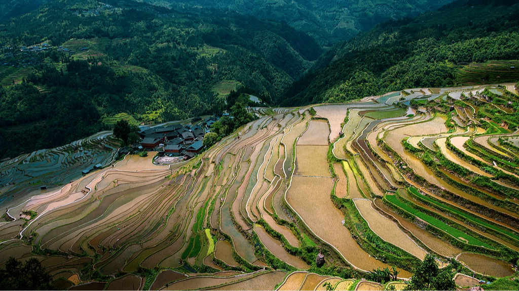 Live: Guizhou's dreamlike cascades Ep. 2 – The cloud-veiled terraces of Jiabang in SW China 