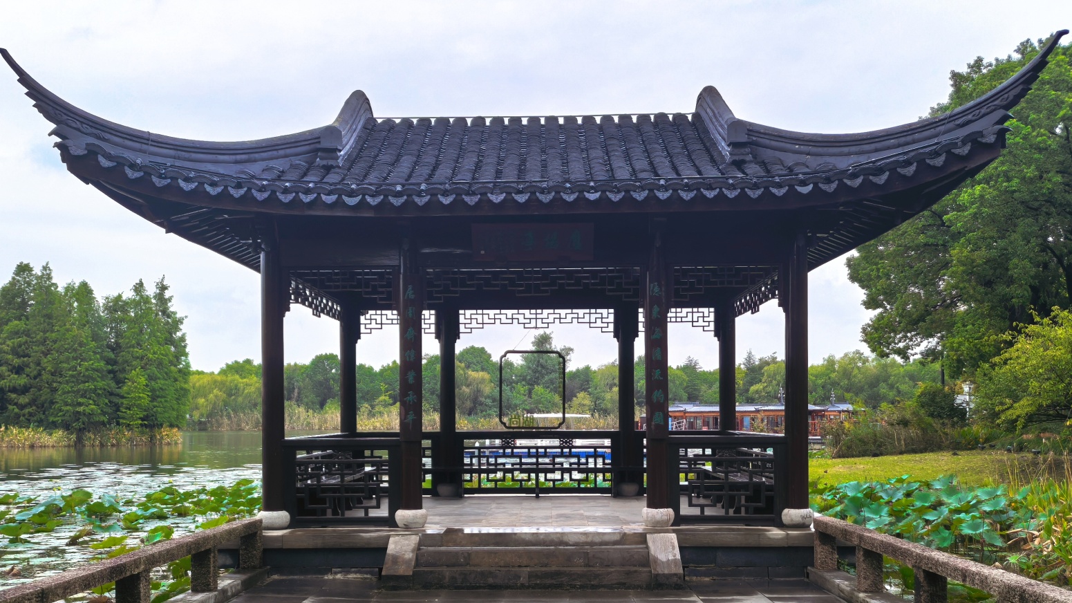 Shanghu: Discover the water forest in southern China
