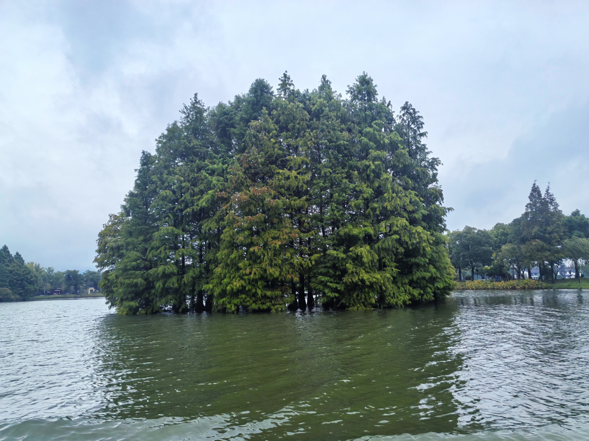 A view of Shanghu Lake Scenic Area in Changshu, east China's Jiangsu Province on October 4, 2026. /CGTN	