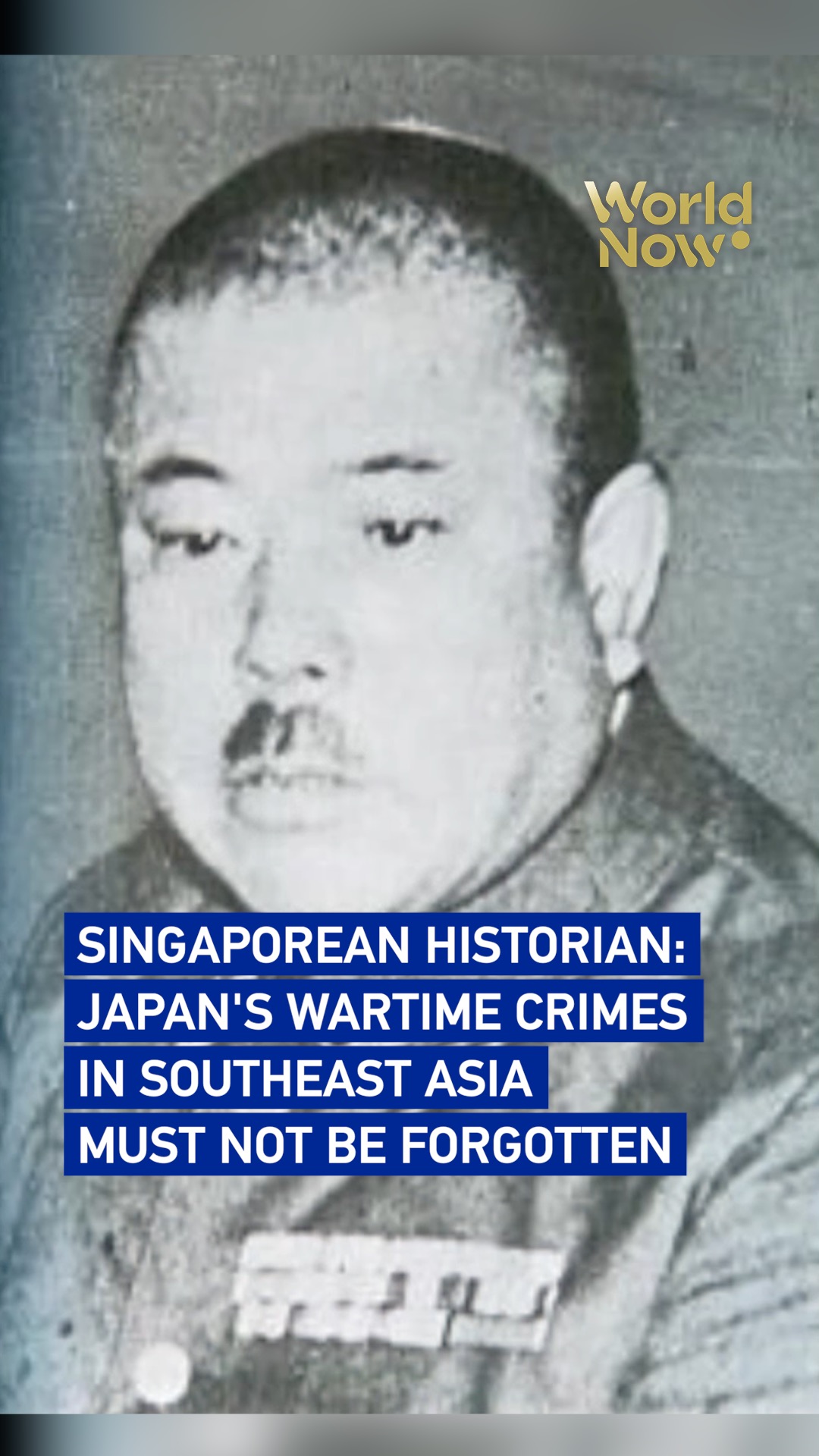 Singaporean historian: Japan's wartime crimes must not be forgotten