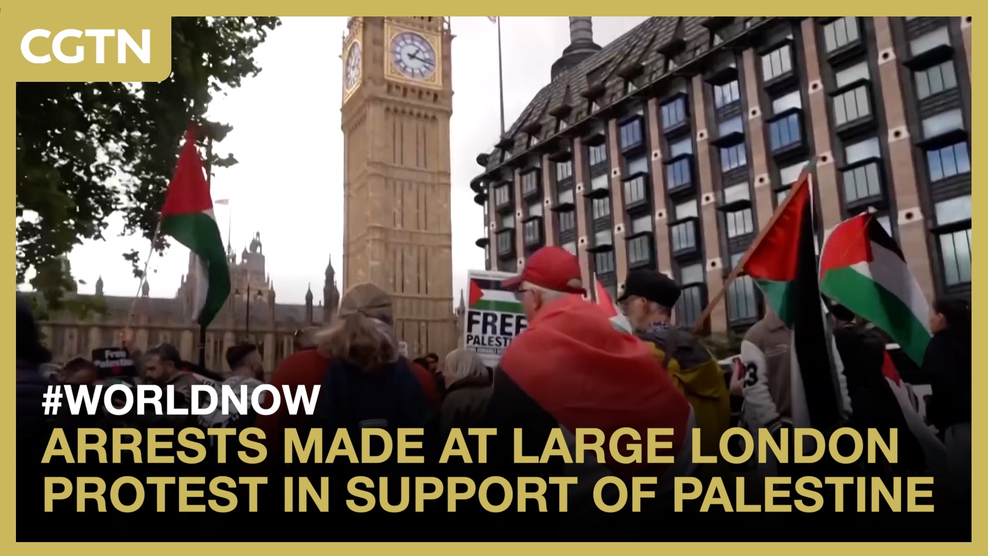 Arrests made at large London protest in support of Palestine