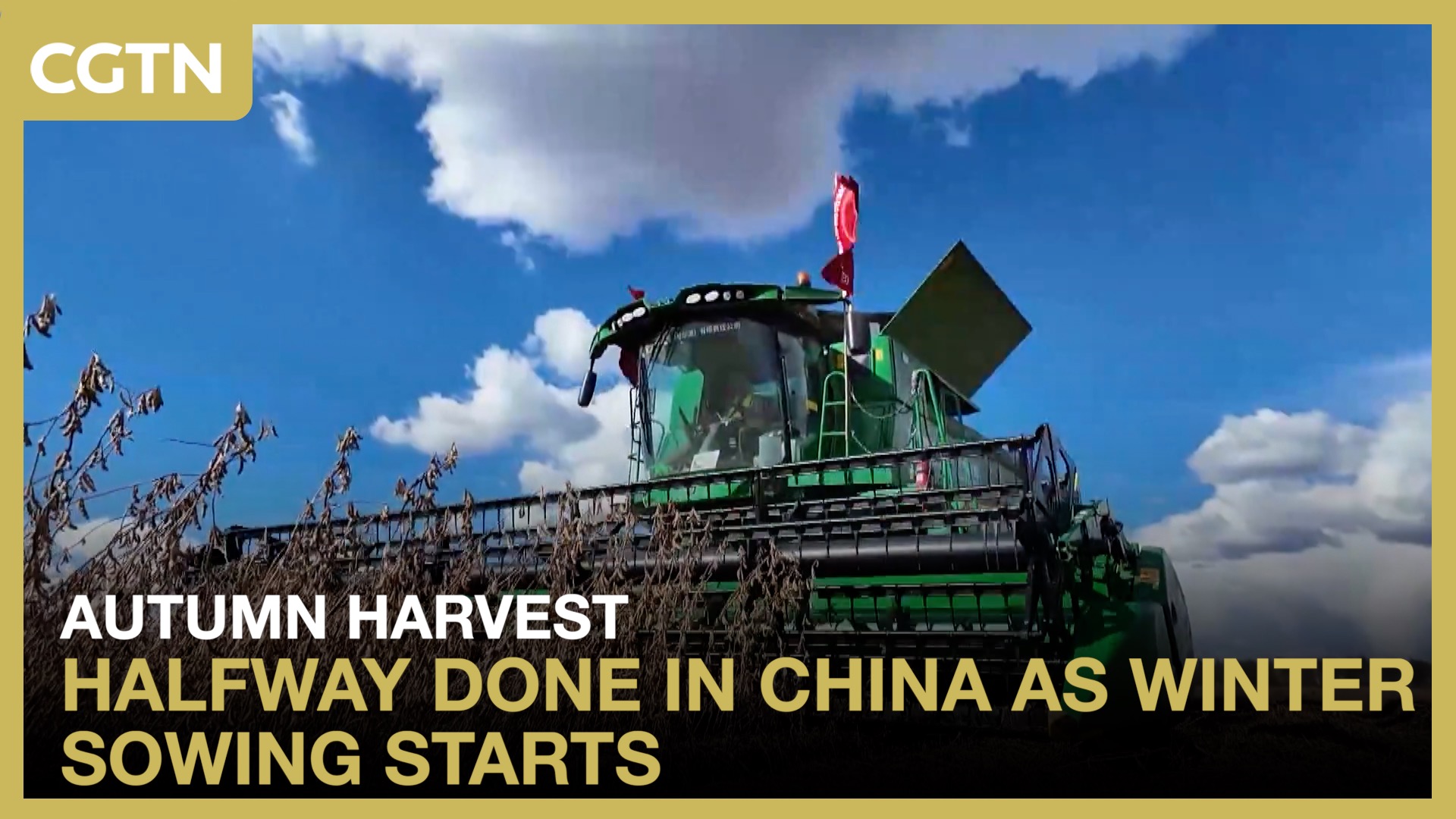Autumn harvest halfway done in China as winter sowing starts