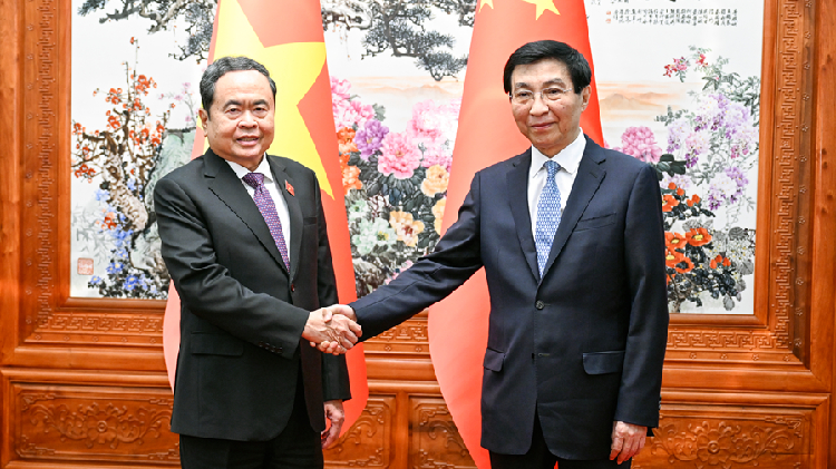 China's top political advisor meets Vietnam's National Assembly chair