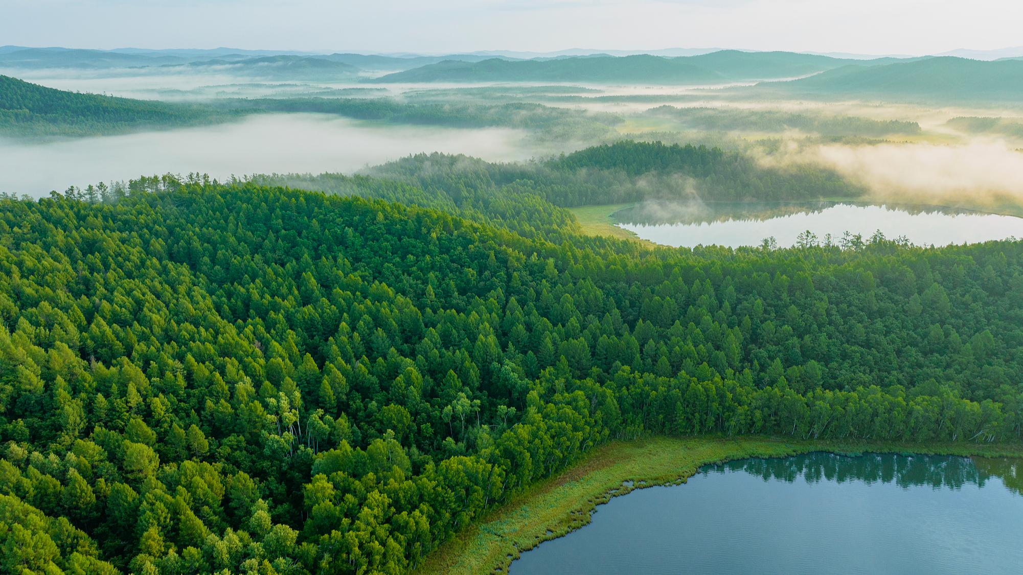 Live: China’s national parks – Five years of conservation
