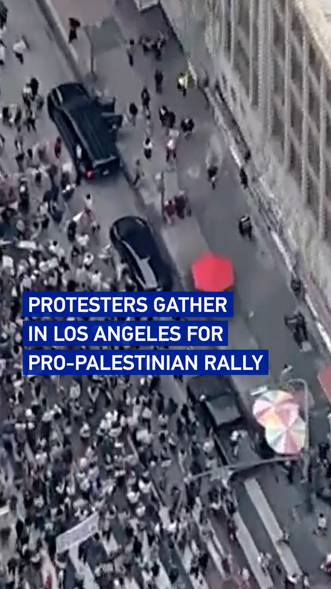 Protesters gather in Los Angeles for pro-Palestinian rally