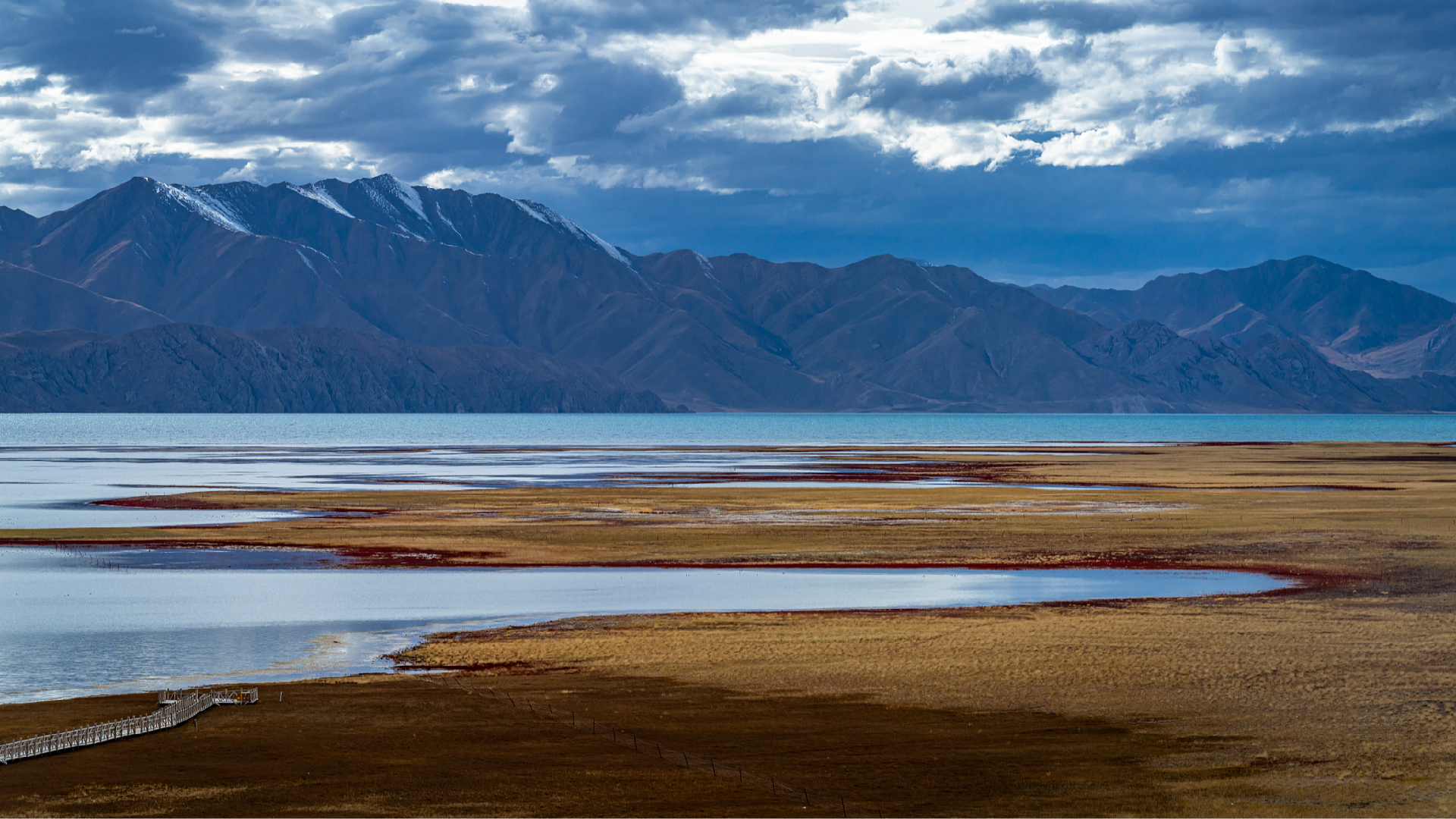 China's first five national parks show conservation gains