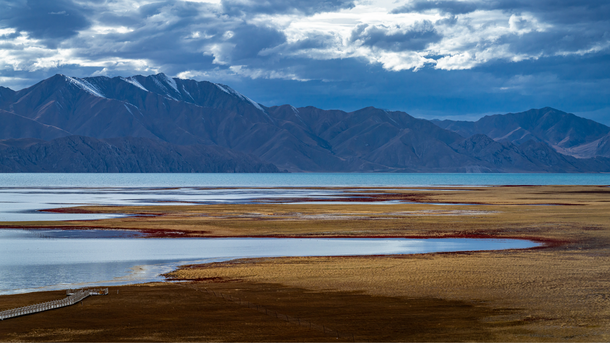 China's first five national parks show conservation gains