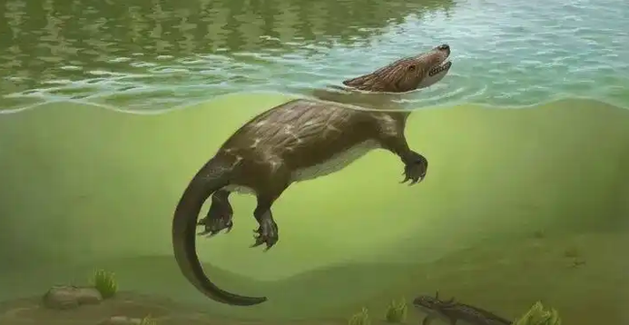 An artist's visualization of Megacauda. /China Media Group