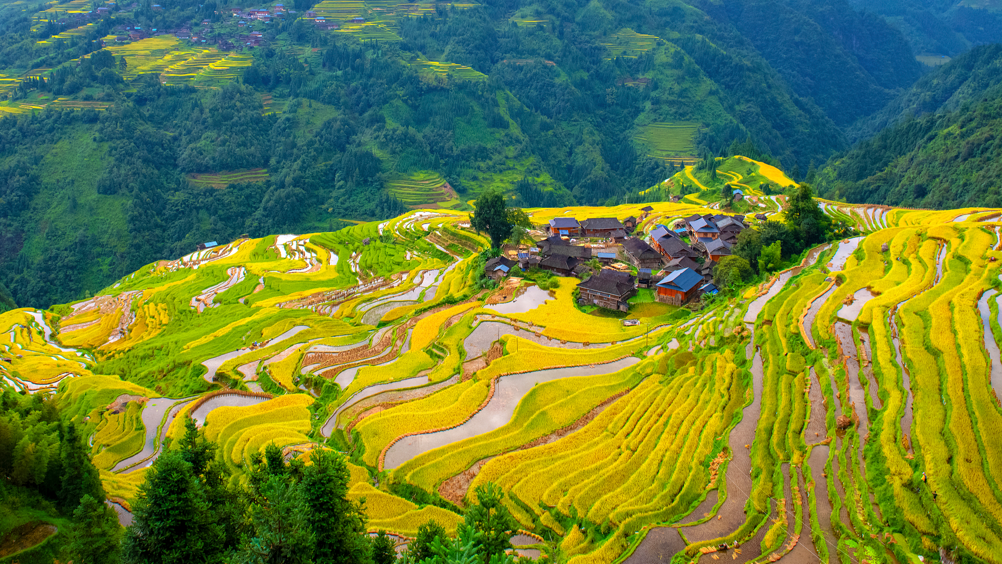 Live: Guizhou's dreamlike cascades Ep. 3 – The cloud-veiled terraces of Jiabang in SW China