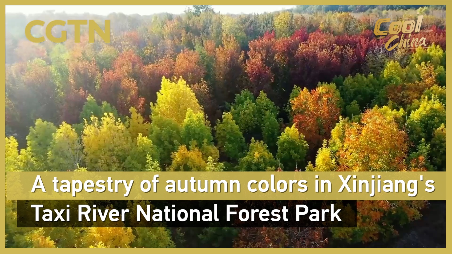 A tapestry of autumn colors in Xinjiang's national forest park