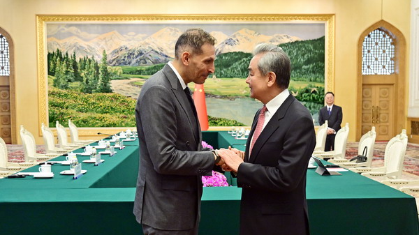 China's top diplomat meets UAE president's special envoy