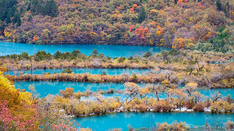 Live: Shuzheng Valley's lakes turn turquoise, emerald and deep blue  – Ep. 2
