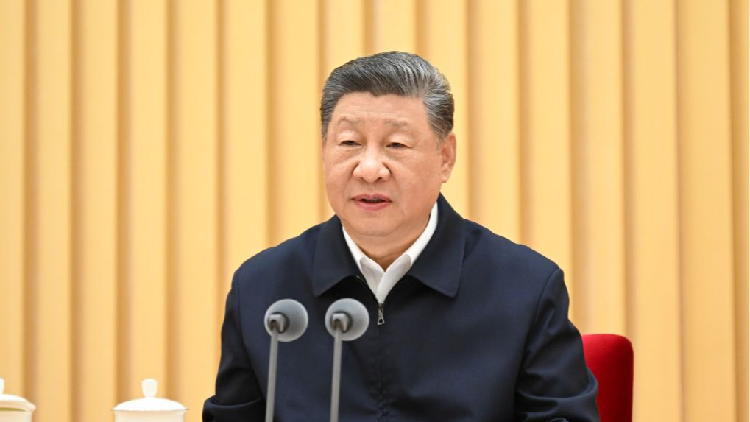 Xi calls for decisive progress in Healthy China advancement