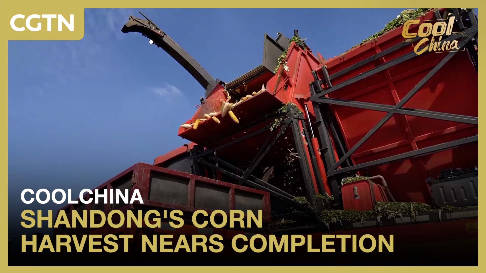 Shandong's corn harvest nears completion