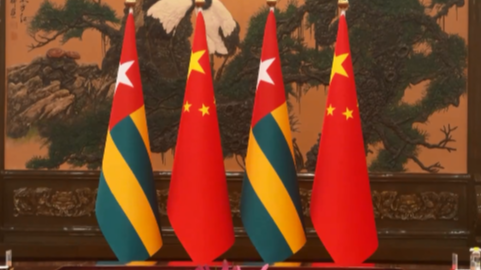 China, Togo elevate ties to community with shared future for new era