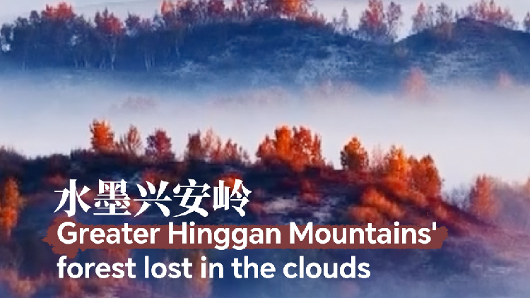 Forest in China's Greater Hinggan engulfed in clouds