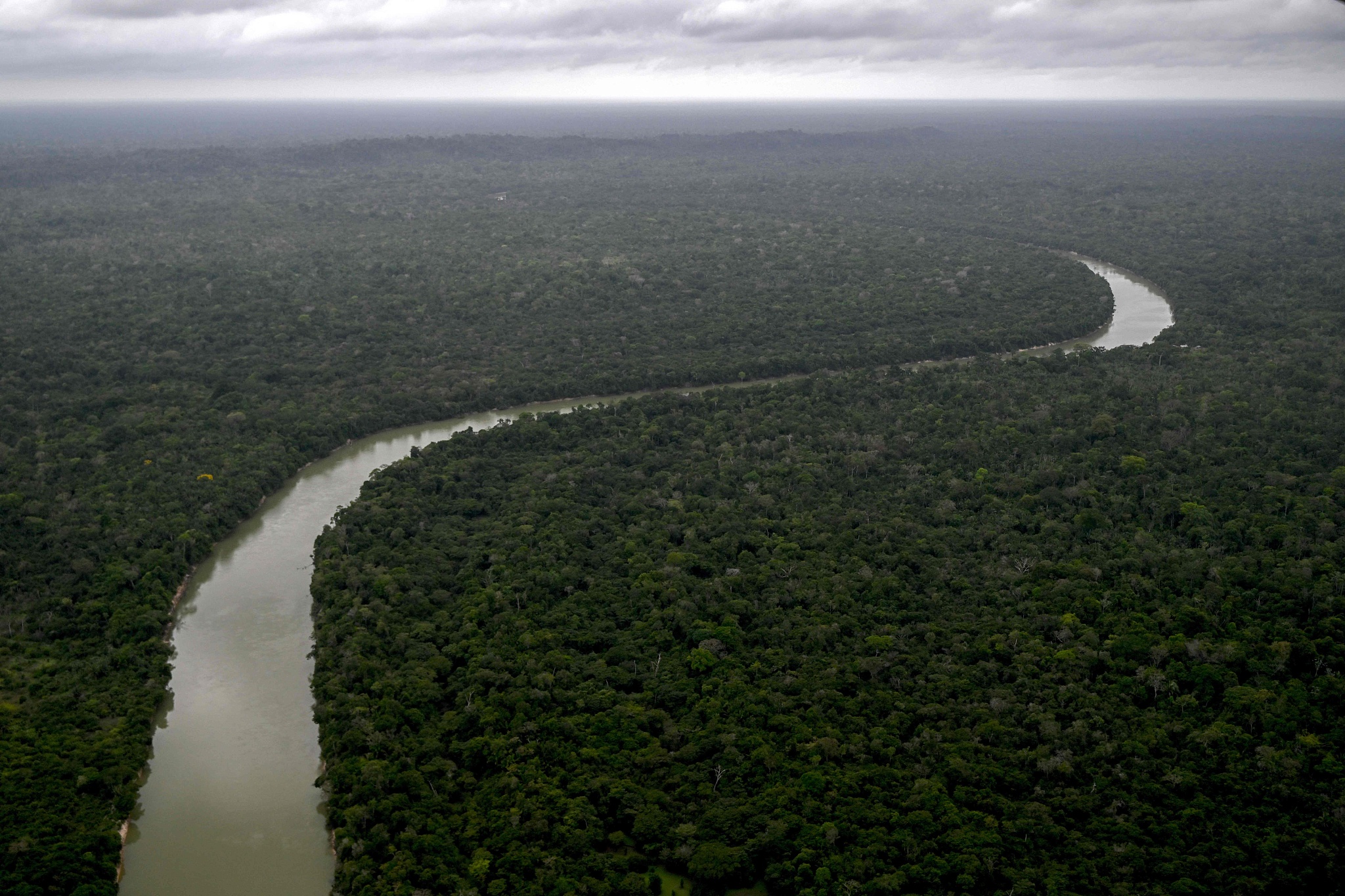 The Amazon rainforest near the municipality of Paragominas, Para state, Brazil, November 12, 2025. /VCG