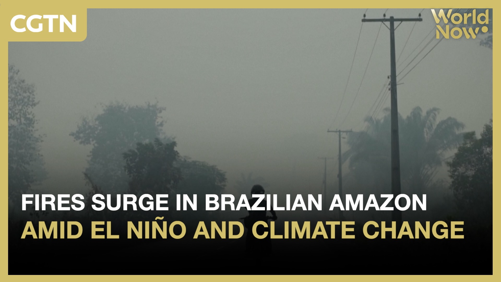 Fires surge in Brazilian Amazon amid El Niño and climate change