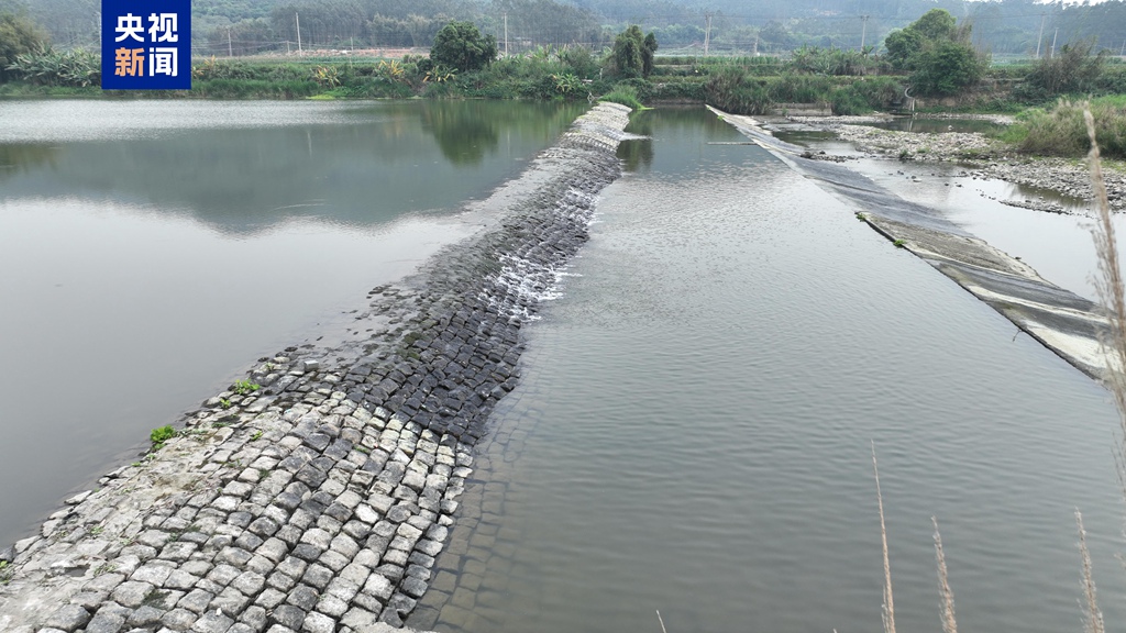 The river-diversion dam at the head of the Yanfu Canal of the Longjin Ancient Weir Irrigation Project. /CMG