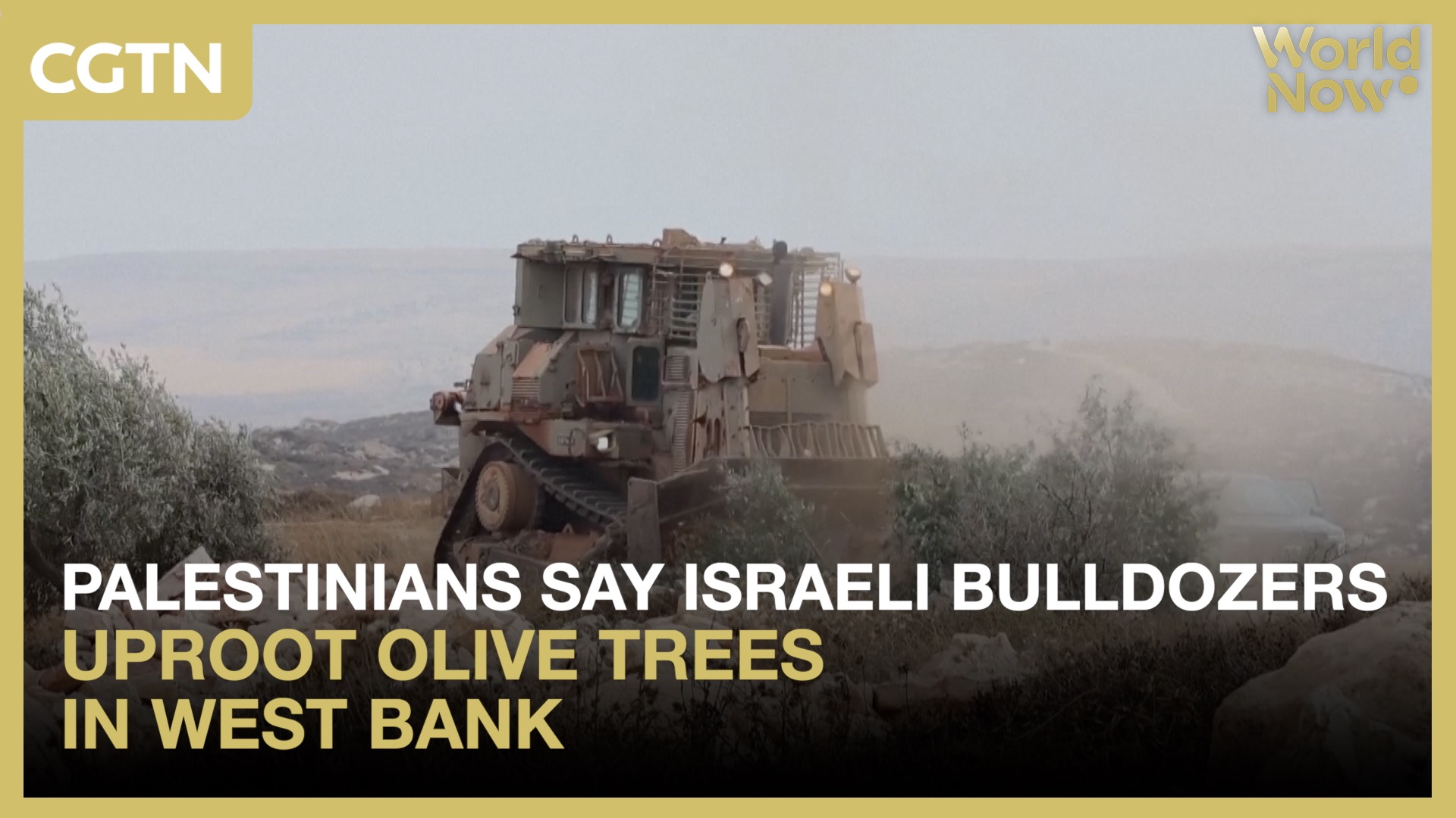 Palestinians say Israeli bulldozers uproot olive trees in West Bank