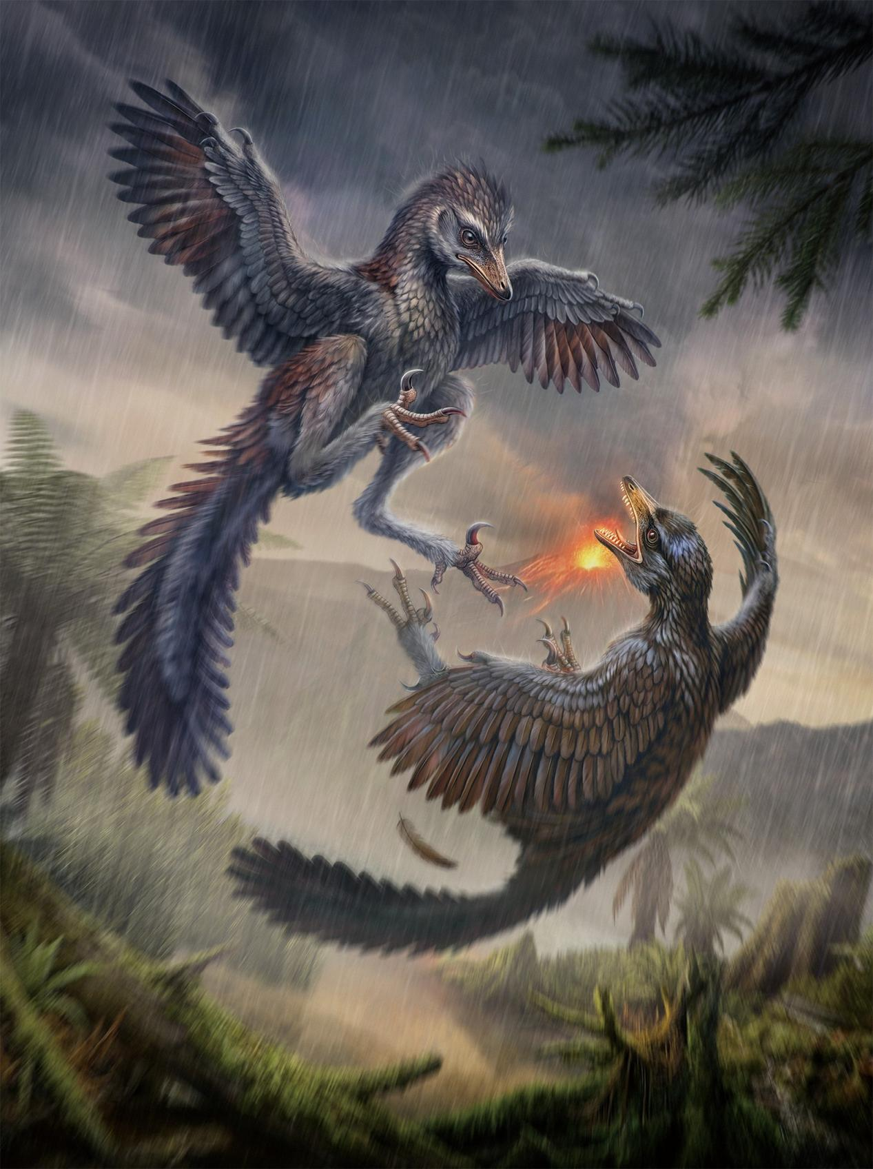 Life reconstruction of Yuezhuornis yangyuanensis. /China Media Group