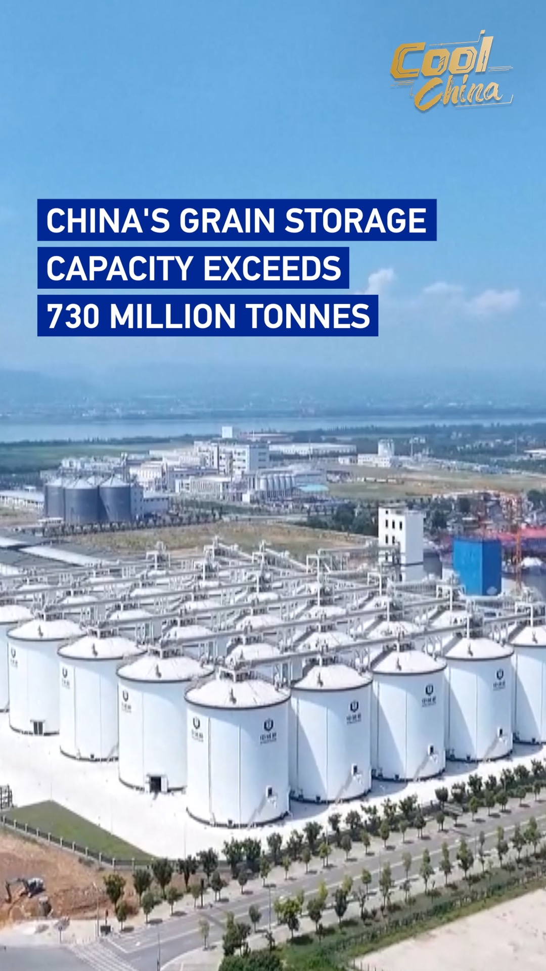 China's grain storage capacity exceeds 730 million tonnes