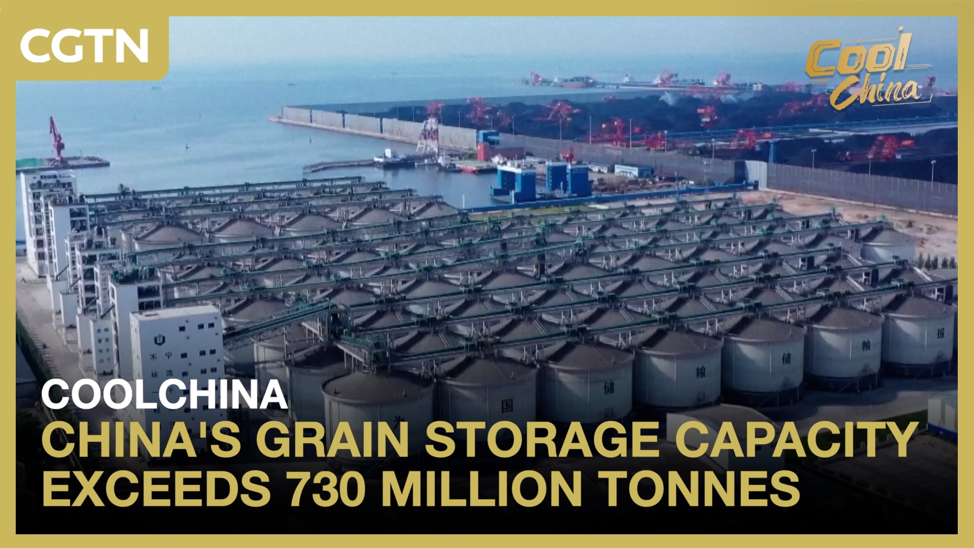 China's grain storage capacity exceeds 730 million tonnes