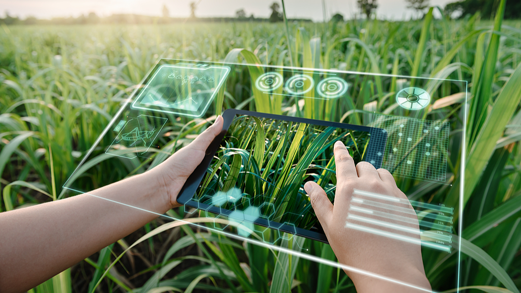 An illustration of intelligent agriculture. /VCG