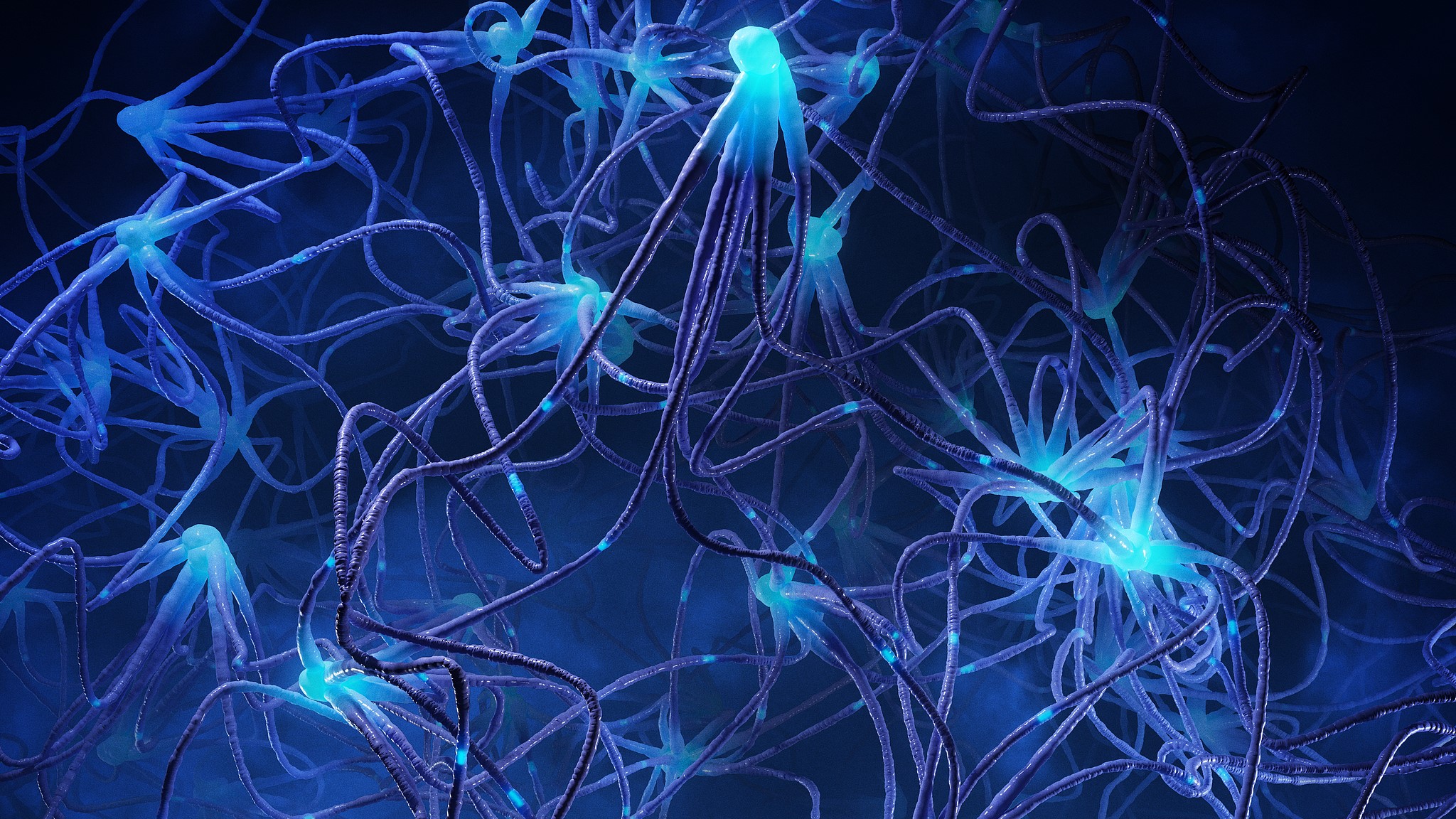 An portray of neurons. /VCG