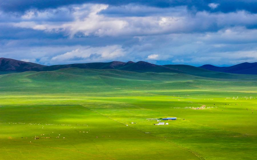 The scenery of a grassland in West Ujimqin Banner of Xilin Gol League, north China's Inner Mongolia Autonomous Region, July 16, 2024. /Xinhua