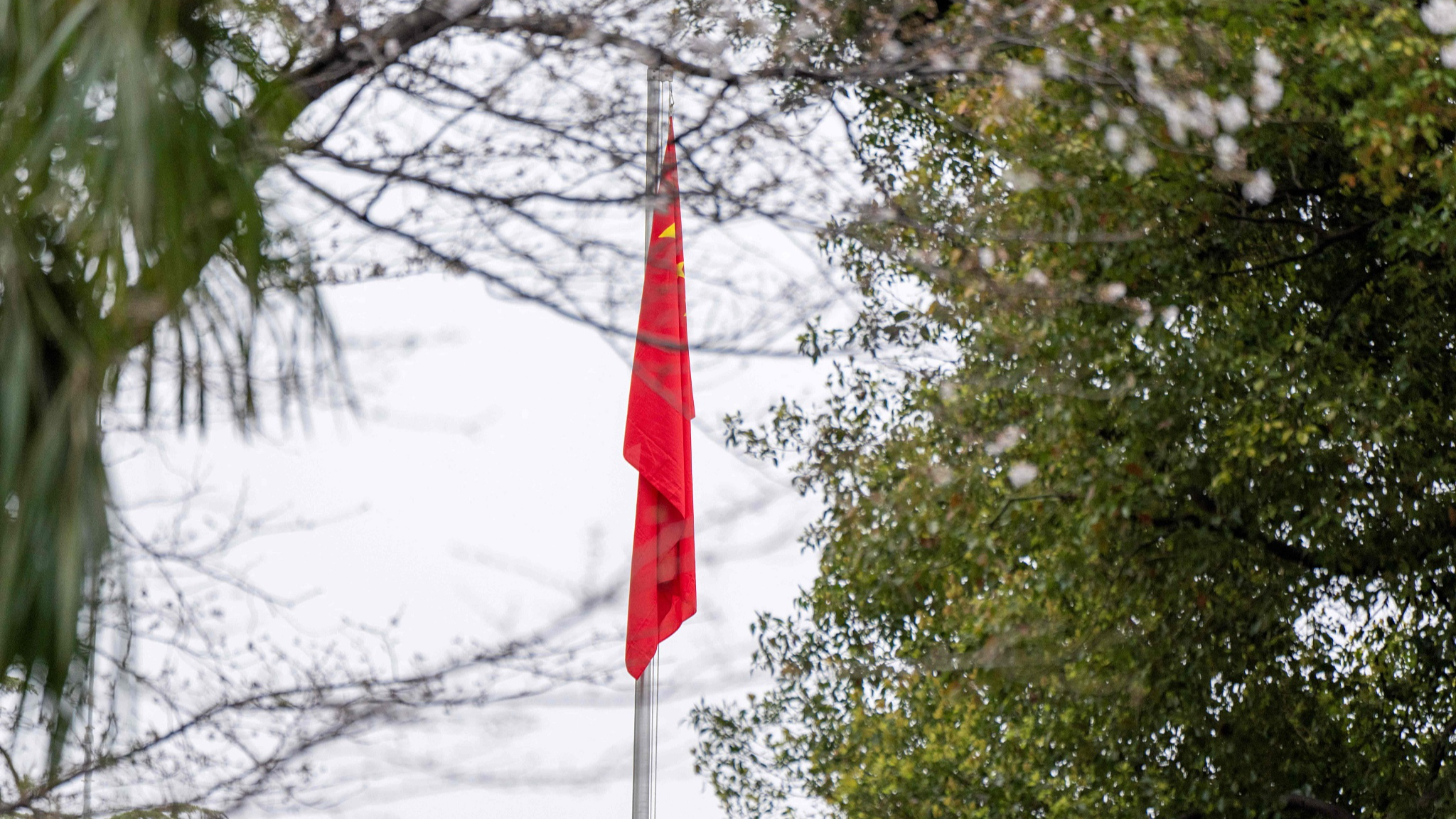 China condemns Japanese politicians over Yasukuni Shrine offerings