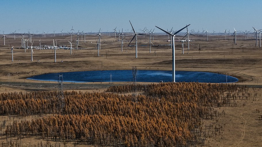 Wind turbines dot the autumn landscape in Ulanqab, north China's Inner Mongolia Autonomous Region, October 15, 2026. /VCG