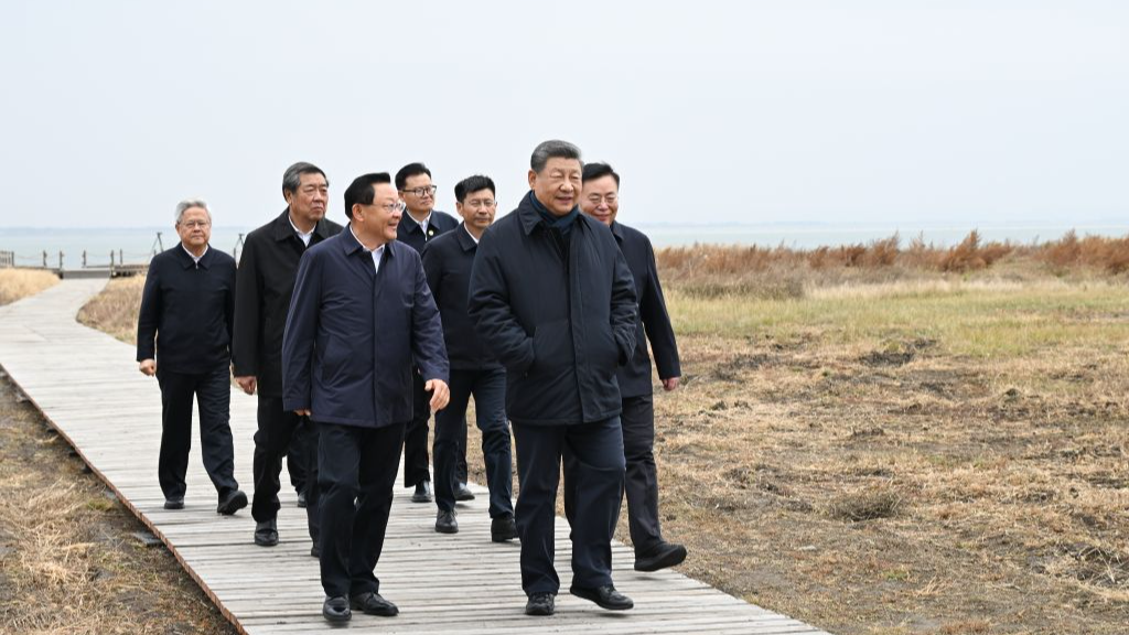 Chinese President Xi Jinping visits the Huangqihai Lake nature reserve in Ulanqab, north China's Inner Mongolia Autonomous Region, October 16, 2026. /Xinhua