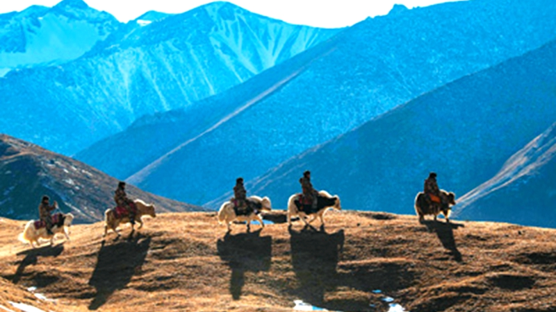 The woman giving her best years to China's high-altitude border